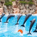 Διαμέρισμα #199 Flamingo Pool & Views