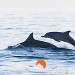 #199 Flamingo Pool & Views Appartamento