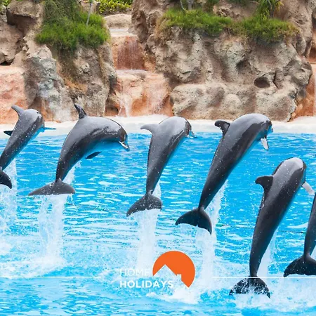 Appartamento #199 Flamingo 1108 By Holidays