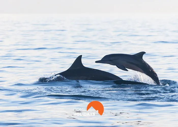 #199 Flamingo Pool&views Apartament