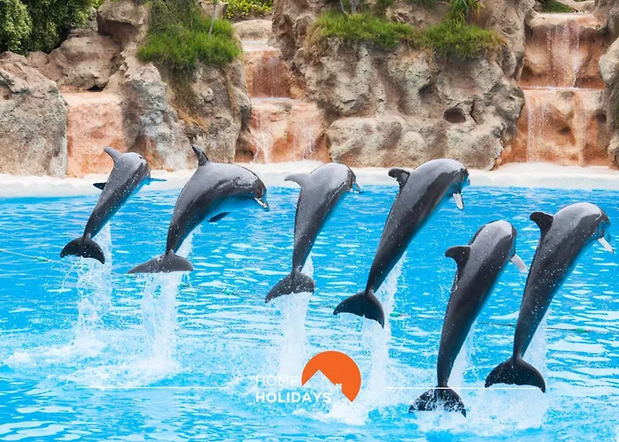 Apartament #199 Flamingo Pool&views